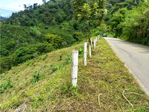 Se Vende Lote A Borde De Via Principal Barragan Genova