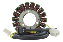 Comprar Bobina De Campo Suzuki Dr200\u002Fqingqui 200 Taiwan Aaa