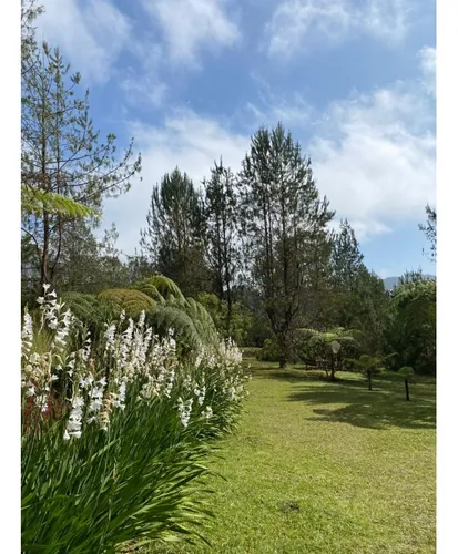 Venta De Encantadora Casa Campestre En Oriente - Don Diego (el Retiro)