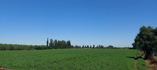 18 Hec Oportunidad Se Vende Terreno Agrícola Retiro Talca