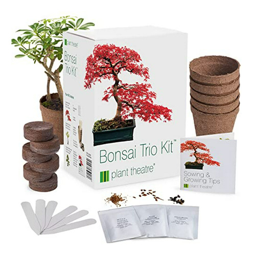 Kit Bonsái Completo Con Semillas, Macetas Y Accesorios.