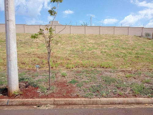 Imagem 4 de 4 de Terreno - Te00245 - 69377089