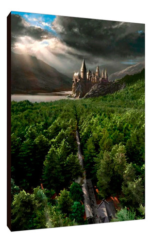 Cuadros Poster Harry Potter Hogwarts L 29x41 (hog (5))