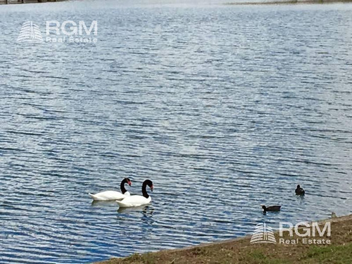 Imagen 7 de 19 de Venta De Casa Al Lago Barrio Castaños
