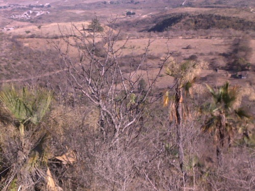 Terreno Rústico En Venta 398 Hectáreas En Chilpancingo Guerrero
