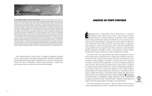 Dinossauros E Outros Monstros: Uma Viagem À Pré-história, De Luiz Eduardo Anelli. Editora Peiropolis, Capa Mole Em Português