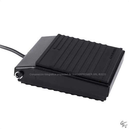 Pedal Sustain Para Teclado Organo Piano Profesional Garantia