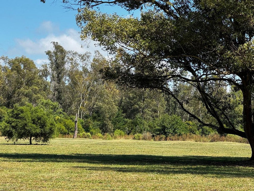 Venta Lote Chacras Del Parana
