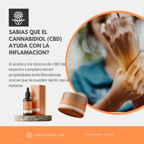 Aceite + Crema De C B D Cannabidiol Combo - Combo Especial