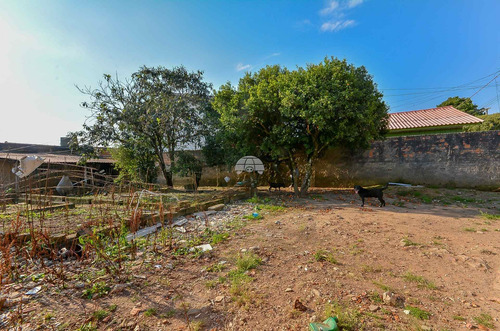 Terreno - Residencial - 929587