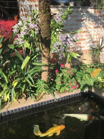 Imagem 11 de 30 de Casa Em Estilo Toscano - Jardim Paradiso - Indaiatuba - Ca01235 - 32805744