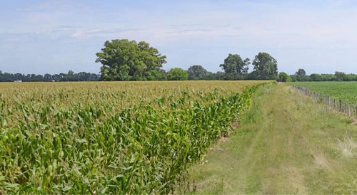 Imagen 7 de 8 de Muy Buen Campo En Venta De 53 Has En Navarro Ruta 47