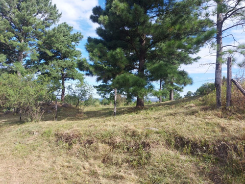 Excelente Oportunidad! Terreno De 11.082mts2 C/agua Vertiente Permanente, Arboleda Autóctona, Ideal Complejo Turístico. Escrituración Inmediata!!
