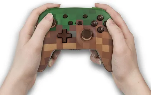 Nintendo switch best sale minecraft controls