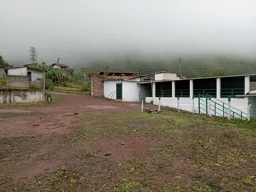 Venta De Finca - Cordero