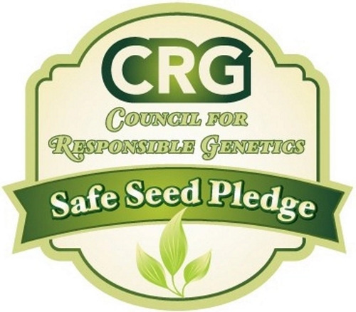 Earthcare Seeds Kale Blue Scotch Curled 500 Semillas - Sin .