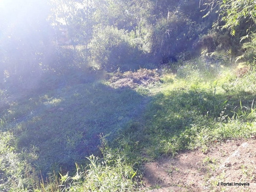 Imagem 4 de 6 de Terreno - 358 - 33381663