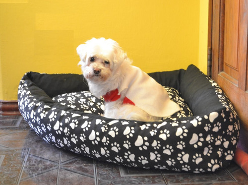 Moises Cama Esquinera Tela Antidesgarro Perros O Gatos