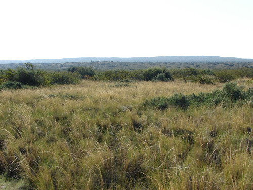 Inmobiliaria Comodoro - Peninsula Valdés - Refugio De Vida Silvestre - Permutas