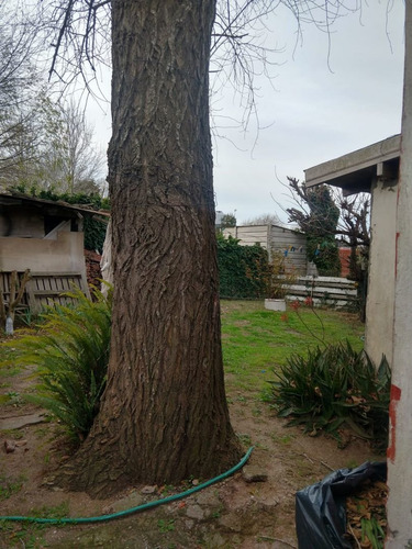 Imagen 7 de 25 de Casa En Venta En Mar De Ajó