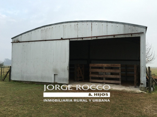 Imagen 2 de 16 de 400 Has. Campo Ganadero - San Vicente -