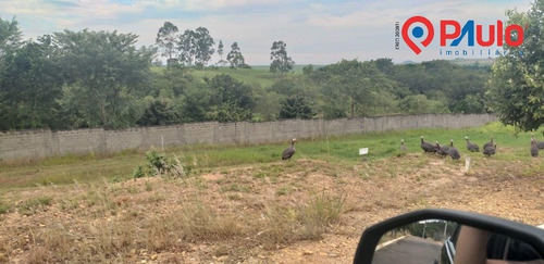 Imagem 6 de 8 de Terreno / Lotes - Limoeiro - Ref: 16437 - V-16437