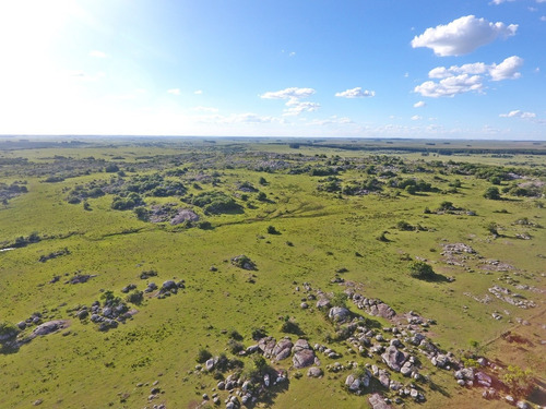 236hás Campo Criador En Florida