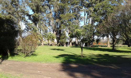 Imagen 13 de 20 de Casa Quinta - Única - En Gualeguay