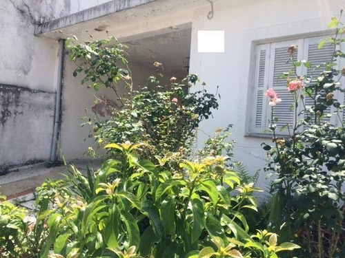 Terreno Residencial À Venda, Vila Metalúrgica, Santo André. - Te0554