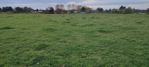 Imagen 10 de 11 de Predio Agrícola 1,5 Ha En Quema Del Buey A 38 Km De Osorno
