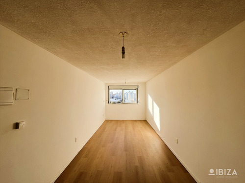 Alquiler Pocitos Apartamento Monoambiente Altos De Brasil