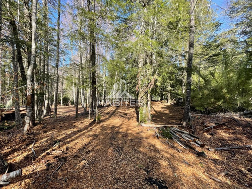 Venta De Parcela Cordillerana 7000m2 Coñaripe En Panguipulli