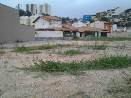 Imagem 1 de 2 de Terreno Resid Na Colônia - V1120