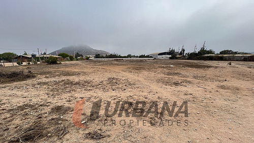 Arriendo Amplio Sitio Sector Pan De Azucar