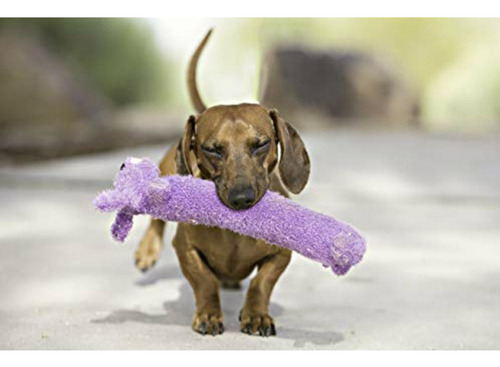 Loofa Dog 12 Plush Dog Toy, Colors May Vary