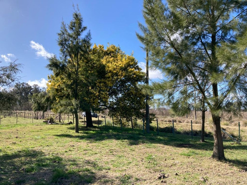 Imagen 6 de 15 de Campo 9ha En Las Flores