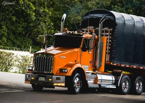 T800 Intermedia Reparada Hace 18 Meses