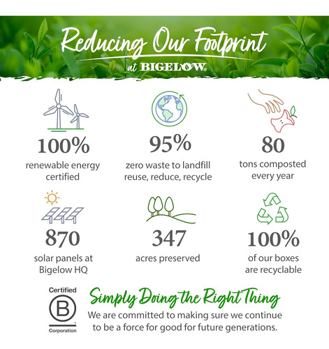 Bigelow Tea Perfectly Mint Black Tea, Té De Menta Verde Con