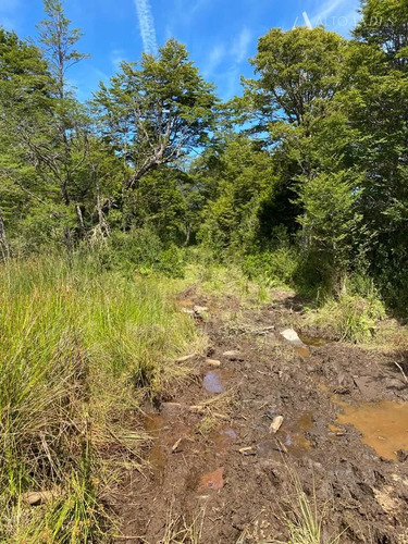Sitio En Venta En Aisén