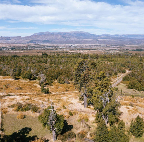 Lotes De 1 Ha. Bosque, Arroyos. Trevelin, Chubut