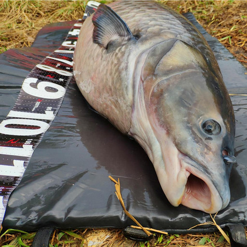 Colchoneta Plegable Para Pesca, Alfombrilla De Aterrizaje,