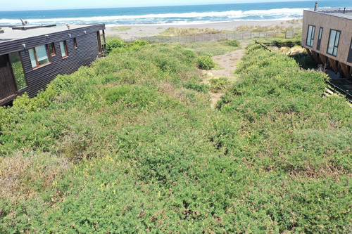 Primera Línea Playa Hermosa