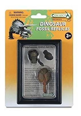 Collecta Prehistoric Life Tooth  Tail Club Of Alvcw