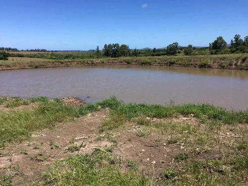 Venta De Campo En Pan De Azúcar, 36 Ha Con Vista A Las Sierras De Las Animas, Costa Al Arroyo El Renegado, 3 Tajamares.