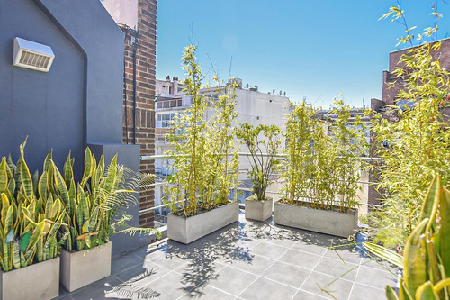 Imagen 7 de 18 de Hermoso Dúplex - Balcón Terraza - Suite - Toilette - Las Cañitas