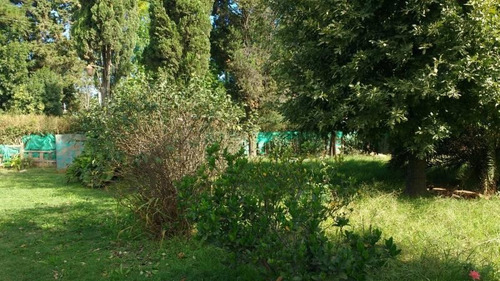 Imagen 2 de 5 de Lote En Venta - Villa Rosa Sobre Calle G. Palacio