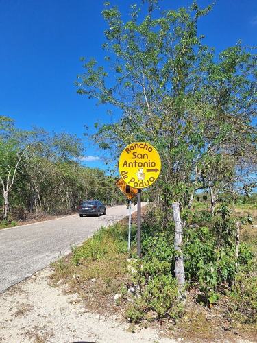 Rancho En Venta Con Cenotes En Excelente Zona Ganadera Del Estado De Yucatán