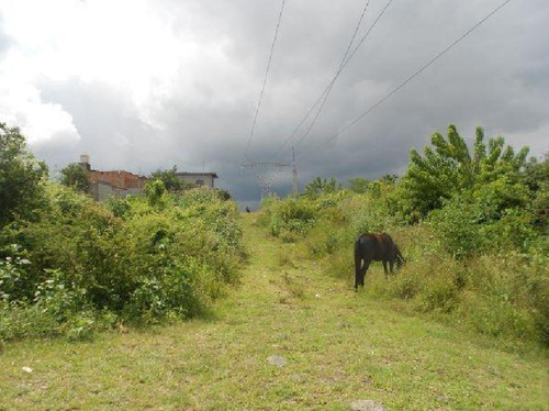 Imagen 6 de 10 de Terreno En Venta En Morelia En Comunidad San Lorenzo Itzicuaro