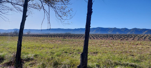  Lotes En Venta En Los Reartes Con Financiación.