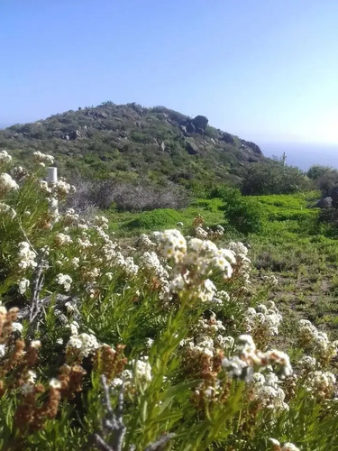 Terreno Arrayán Costero La Serena